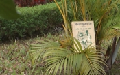 MN1CS:  Những mảnh đời đen trắng