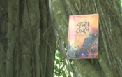 MN1CS:  Quán chuột