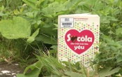 MN1CS:  Socola cho một trái tim yêu