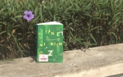MN1CS:  Tấn bi kịch Z