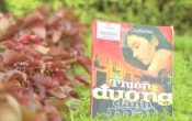 MN1CS:  Thiên đường đánh mất