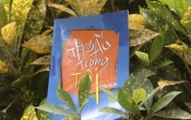 MN1CS:  Thơ ấu trong tôi
