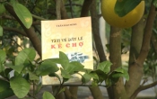 MN1CS  Tìm về đất lề kẻ chợ