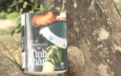 MN1CS:  Tình nhân