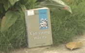 MN1CS:  Vấn vương mái rạ