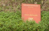 MN1CS  Với lửa Hoàng Liên