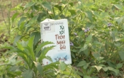 MN1CS:  Xa xôi thôn ngựa già
