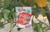 MN1CS:  Xúc xắc tình yêu