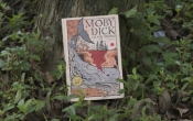 MOBY DICK cá voi trắng