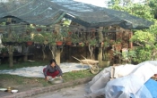 Môi trường & Cuộc sống   29/5/2022