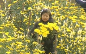 MỸ TÂN - SỨC BẬT MÙA XUÂN