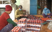Nam Định tôi yêu  09/4/2023