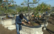 Nam Định tôi yêu  21/01/2023
