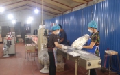 Nam Định tôi yêu  28/8/2022