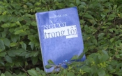 NGƯỜI TRONG TÔI