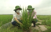 Nhịp cầu nhà nông  01/5/2022