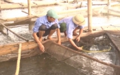Nhịp cầu nhà nông ( 03/05/2020 )