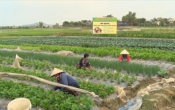 Nhịp cầu nhà nông  04/8/2023