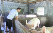 Nhịp cầu nhà nông   05/6/2022