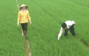 Nhịp cầu nhà nông ( 08/8/2021 )