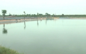 Nhịp cầu nhà nông ( 12/01/2020 )