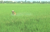 Nhịp cầu nhà nông  12/5/2023