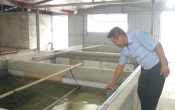 Nhịp cầu nhà nông  12/7/2024