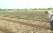 Nhịp cầu nhà nông ( 13/10/2019 )