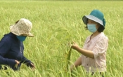 Nhịp cầu nhà nông ( 13/5/2021 )