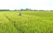 Nhịp cầu nhà nông  17/5/2024