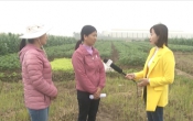 Nhịp cầu nhà nông ( 20/12/2020 )