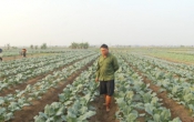 Nhịp cầu nhà nông  20/12/2024