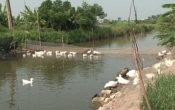 Nhịp cầu nhà nông ( 22/09/2019 )