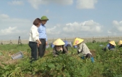 Nhịp cầu nhà nông  22/3/2024
