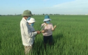 Nhịp cầu nhà nông ( 22/8/2021 )