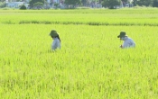 Nhịp cầu nhà nông  22/9/2023