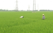Nhịp cầu nhà nông  23/5/2025