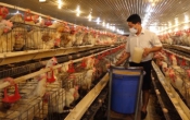 Nhịp cầu nhà nông  24/4/2022