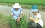 Nhịp cầu nhà nông ( 25/08/2019 )