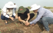 Nhịp cầu nhà nông  25/11/2022