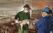 Nhịp cầu nhà nông 26/7/2024