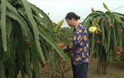Nhịp cầu nhà nông  26/8/2022