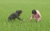 Nhịp cầu nhà nông ( 28/3/2021 )