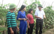 Nhịp cầu nhà nông   31/3/2023