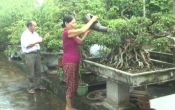 Phóng sự (27/10/2018)