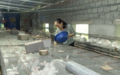 Phụ nữ Việt ( 14/10/2020 )