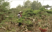 Phụ nữ Việt ( 27/01/2021 )