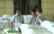 PS  " Hạt ngọc " Nam Định vươn xa