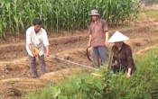 PS  Nam Định hoàn thành nhiệm vụ xây dựng nông thôn mới