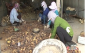 PS  Nam Tiến - Mùa Xuân này